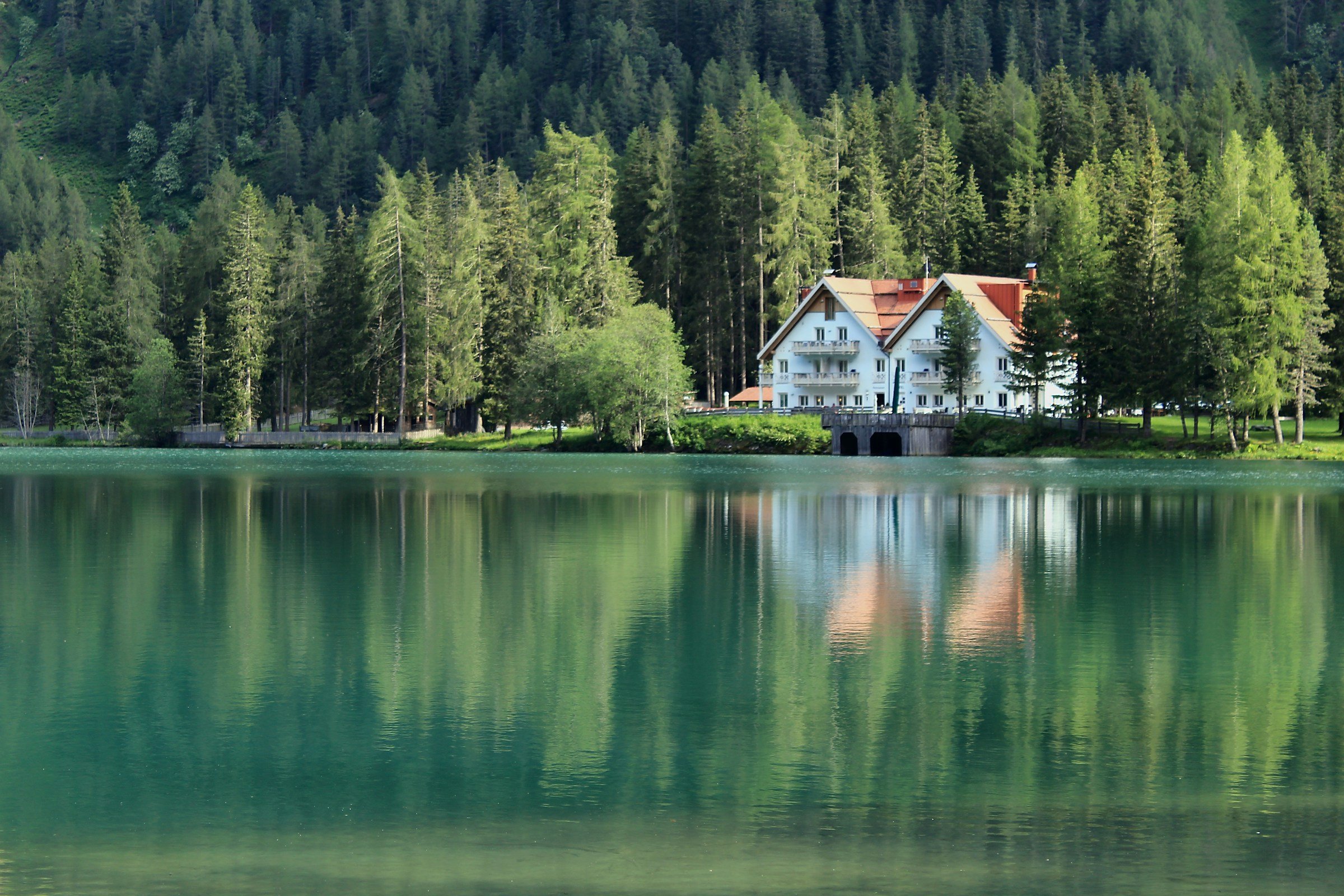 A house on the shore of a forested lake